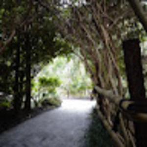 Meet your Posher, Tessa